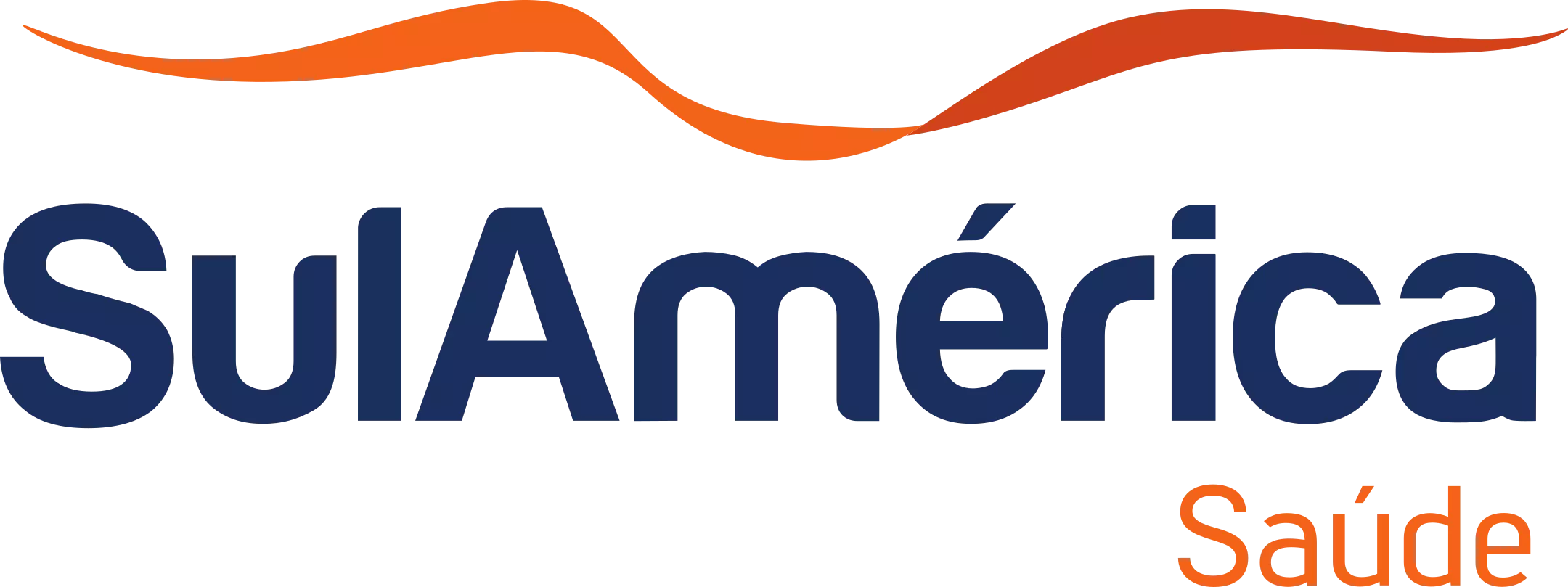 AnyConv.com__sulamerica-saude-logo-1
